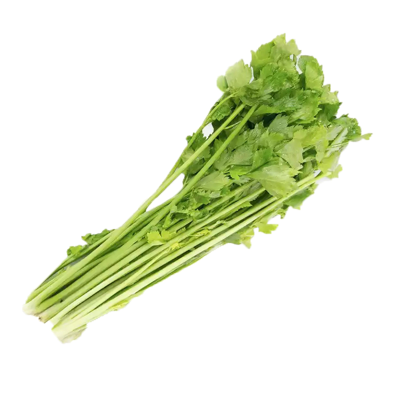 美国西芹美国西芹