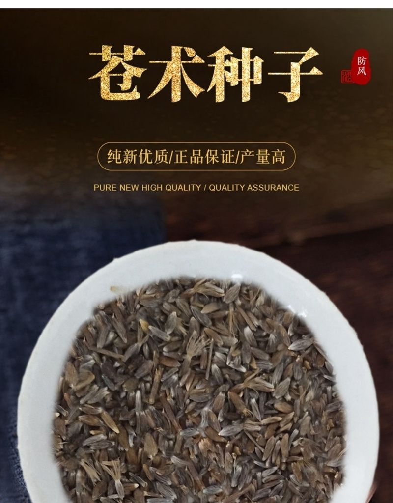正宗朱砂点北苍术种子包包发芽指导回收成品 苍术子250克【图片 价格