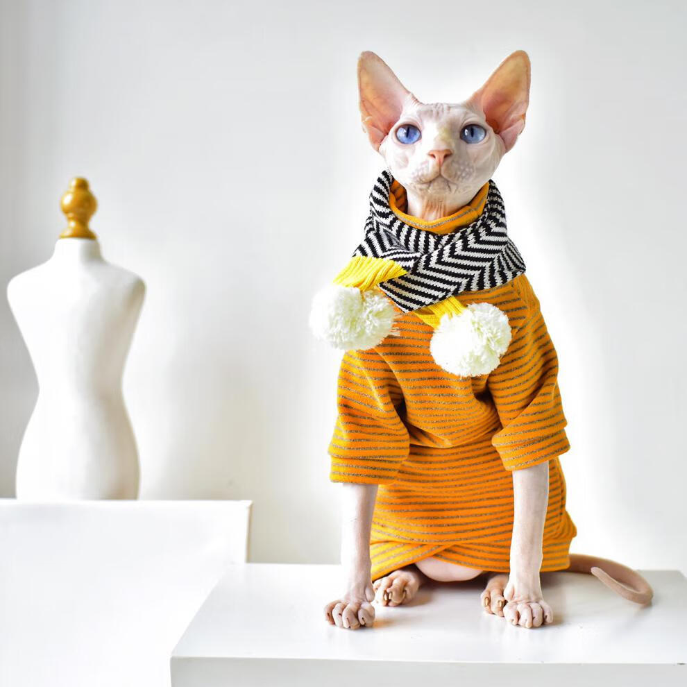 无毛猫衣服冬 【】黑白棋盘围巾 造型感斯芬克斯无毛猫衣服冬天保暖德