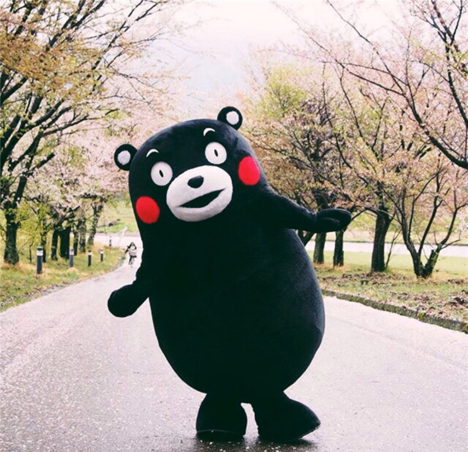 舞万花网红熊人偶服装熊本熊卡通人偶服装行走可穿玩偶服活动网红熊