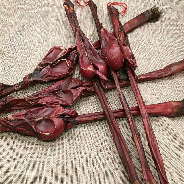 有仁堂牦牛鞭 干牛鞭 整个黄牛鞭带睾丸 泡酒料批实发供应一条 牛鞭赠