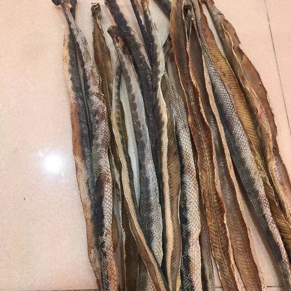 深海海蛇干货足干大号中和煲汤泡酒新鲜渔民自晒滋补营养漂亮 船晒