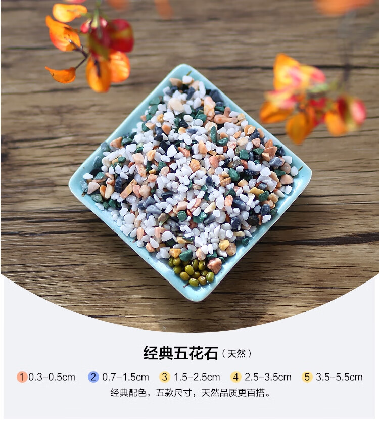 天然鹅卵石白石子花盆盆栽铺面盆景庭院多肉养雨花石头鱼缸底沙石