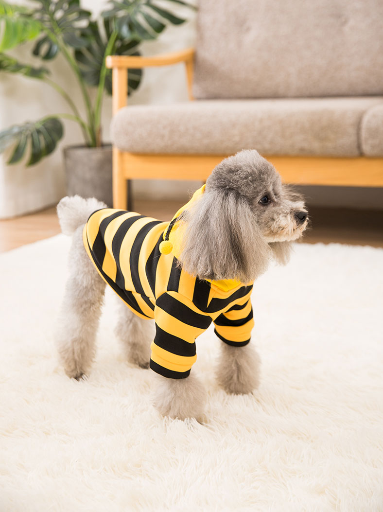 小狗狗衣服猫咪春秋款泰迪秋冬装比熊博美雪纳瑞宠物小型幼犬秋装黄黑
