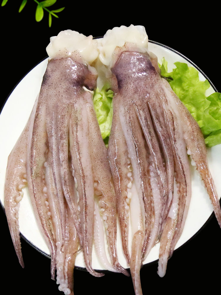 鱿鱼头鱿鱼海鲜水产章鱼鱿鱼须冷冻鱿鱼头香嫩鱿鱼头福茹洲一斤装