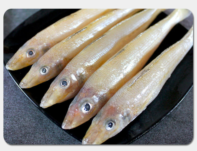 新鲜沙丁鱼冷冻沙尖鱼中大海鲜金色沙钻鱼国产天然沙梭鱼 2斤约28条