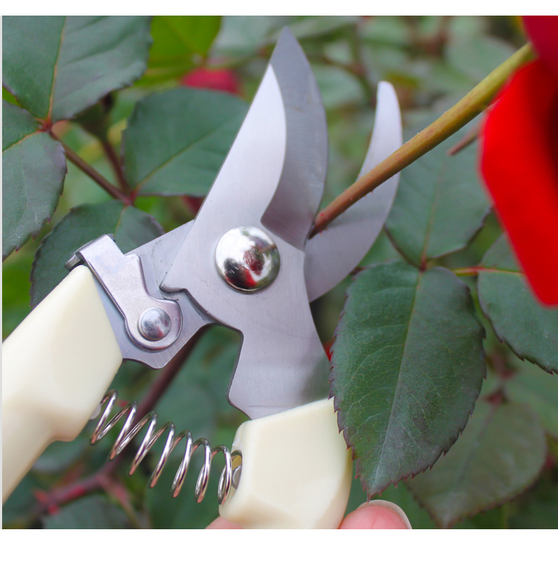 金鸿月季园艺工具家用修枝剪树木花草修剪剪刀花剪手动绿化剪刀花剪两