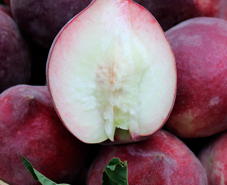 春光岛云南红宝石桃子现摘红黑美人新鲜水果5斤水蜜桃鹰嘴桃甜脆桃子