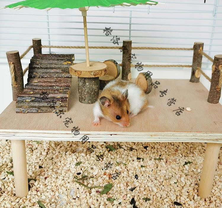 hkna仓鼠苹果木爬梯金丝熊木质玩具仓鼠玩耍拱桥鼠类木制磨牙用品