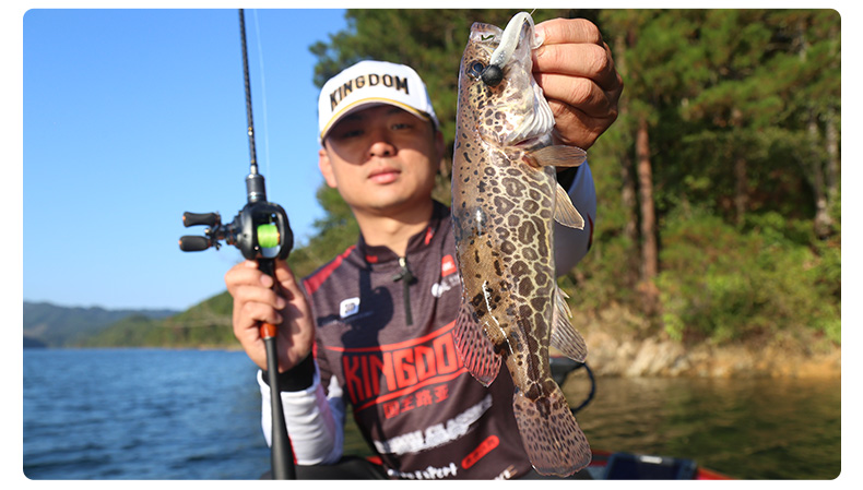 国王路亚t尾软饵软虫2839寸72100mm铅头钩倒钓组鲈鱼假饵72mm21g02