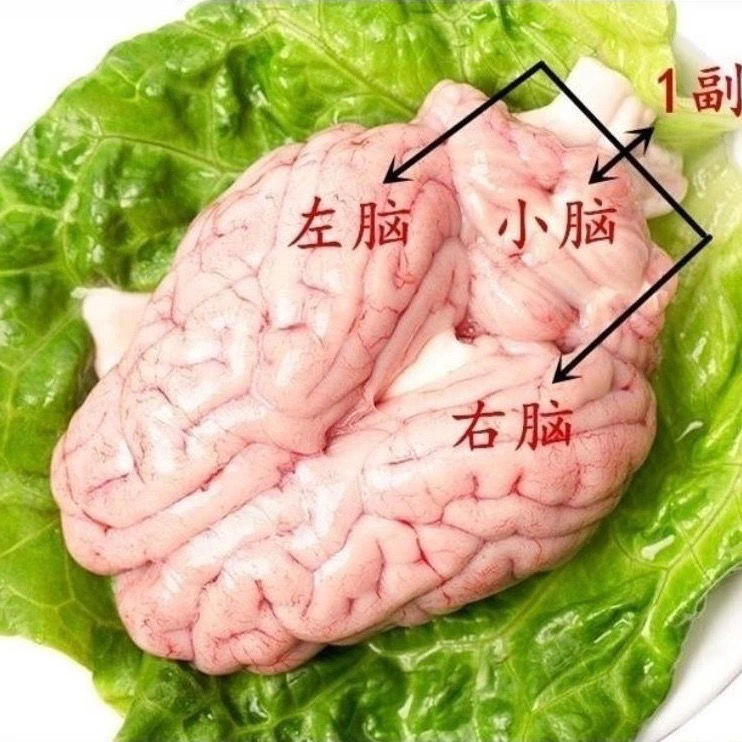 猪脑花新鲜冷冻猪小脑生鲜商用猪脑冷冻猪脑脑花4副