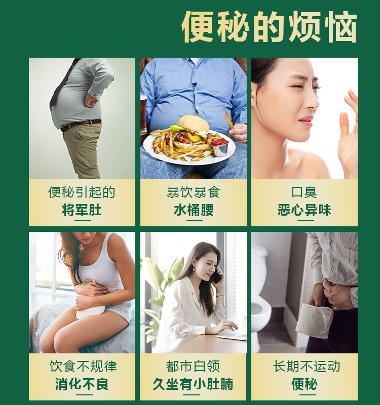 施恩麻仁丸30克瓶肠热津亏所致的便秘润肠通便腹部胀满大便干结习惯性