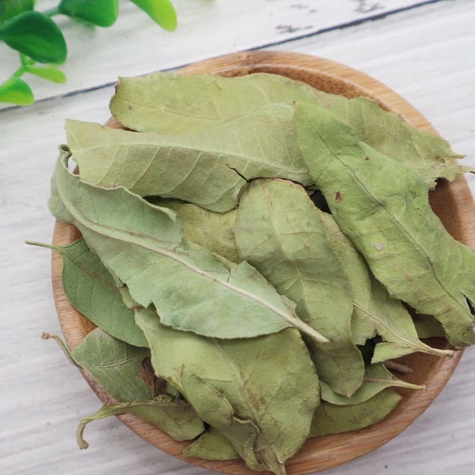 北京同仁堂原料中材 新疆精选野生纯罗麻布罗布麻叶茶叶内廷上用 官方