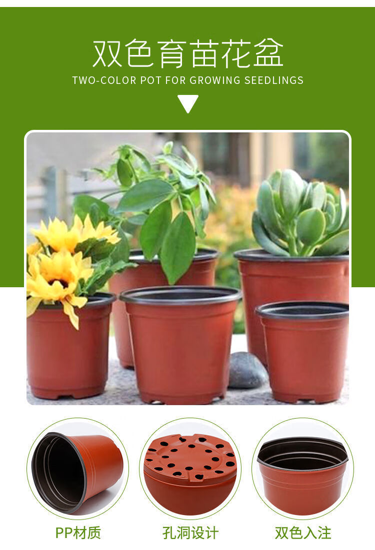 双色育苗盆多肉叶插盆一次性花盆营养钵育苗杯摔不坏塑料简易花盆90