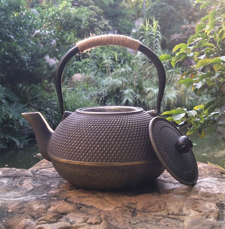 日本原装进口铁壶煮茶器 铁壶原装砂铁壶家用大容量烧水壶泡茶壶煮茶