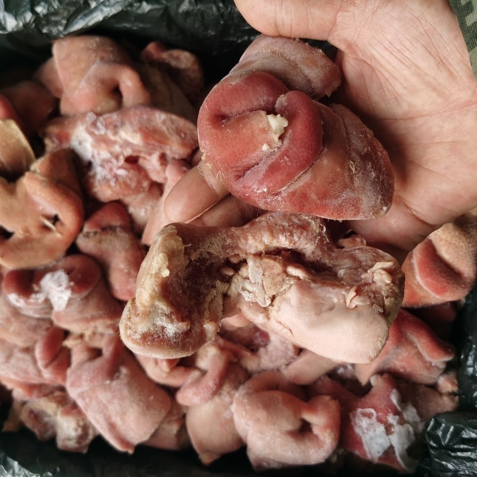 新鲜速冻无骨猪拱嘴5斤猪鼻子猪肉猪嘴干净无毛大小均匀冷冻猪鼻2斤无