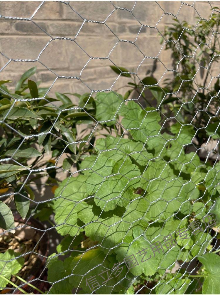 加粗六角拧花镀锌铁丝网养鸡围栏网养牛羊铁丝网圈地鱼塘果园围网 高