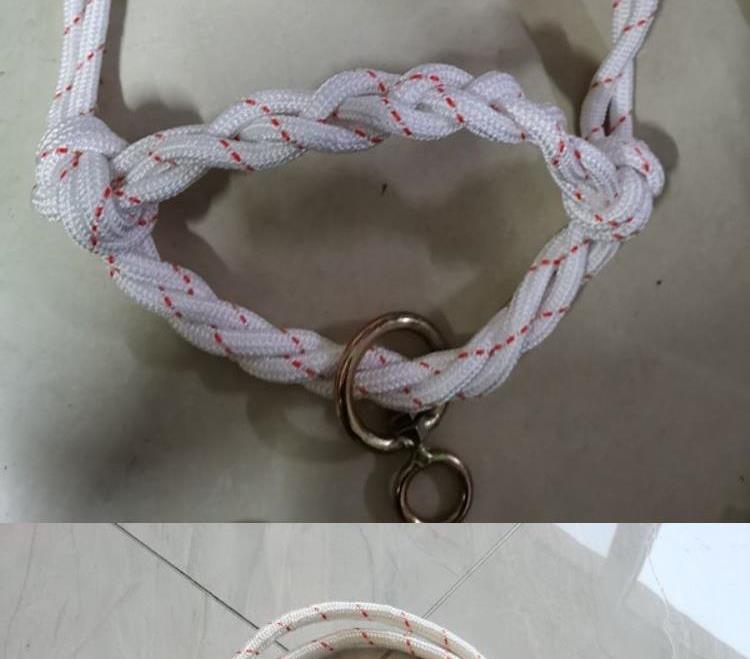 牛羊项圈马编织牛缰绳龙头龙套头套养牛笼头绳子牵牛手工编织 8mm加背