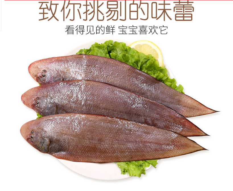 龙利鱼新鲜冷冻舌头鱼鲜活新鲜海鲜鲜活海鲜一斤2条八斤装