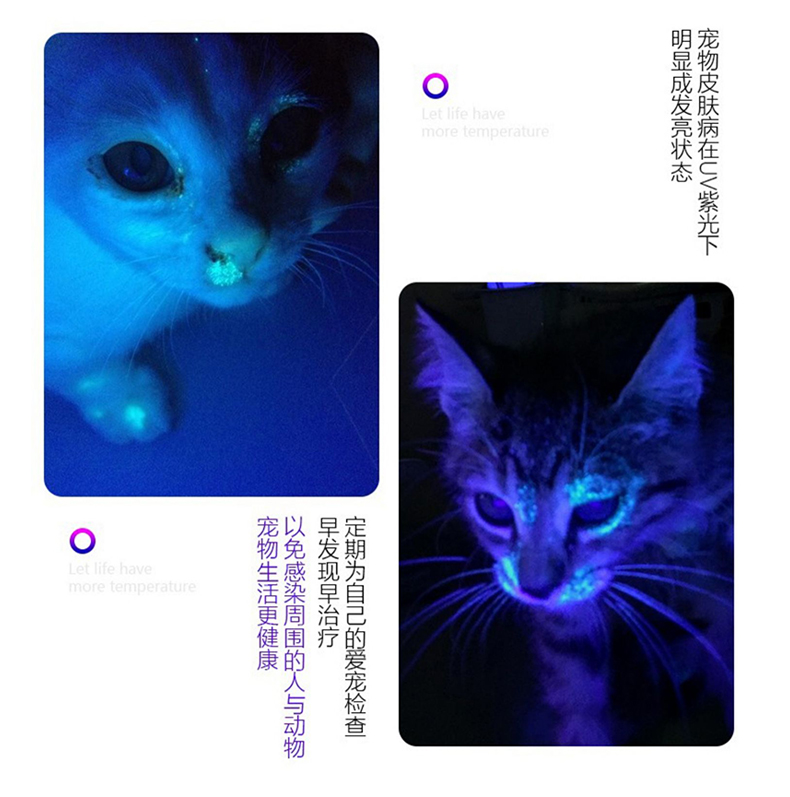 索拉卡伍德氏灯猫藓灯紫外线手电筒照猫尿检测霉素真菌灯黄曲紫光灯