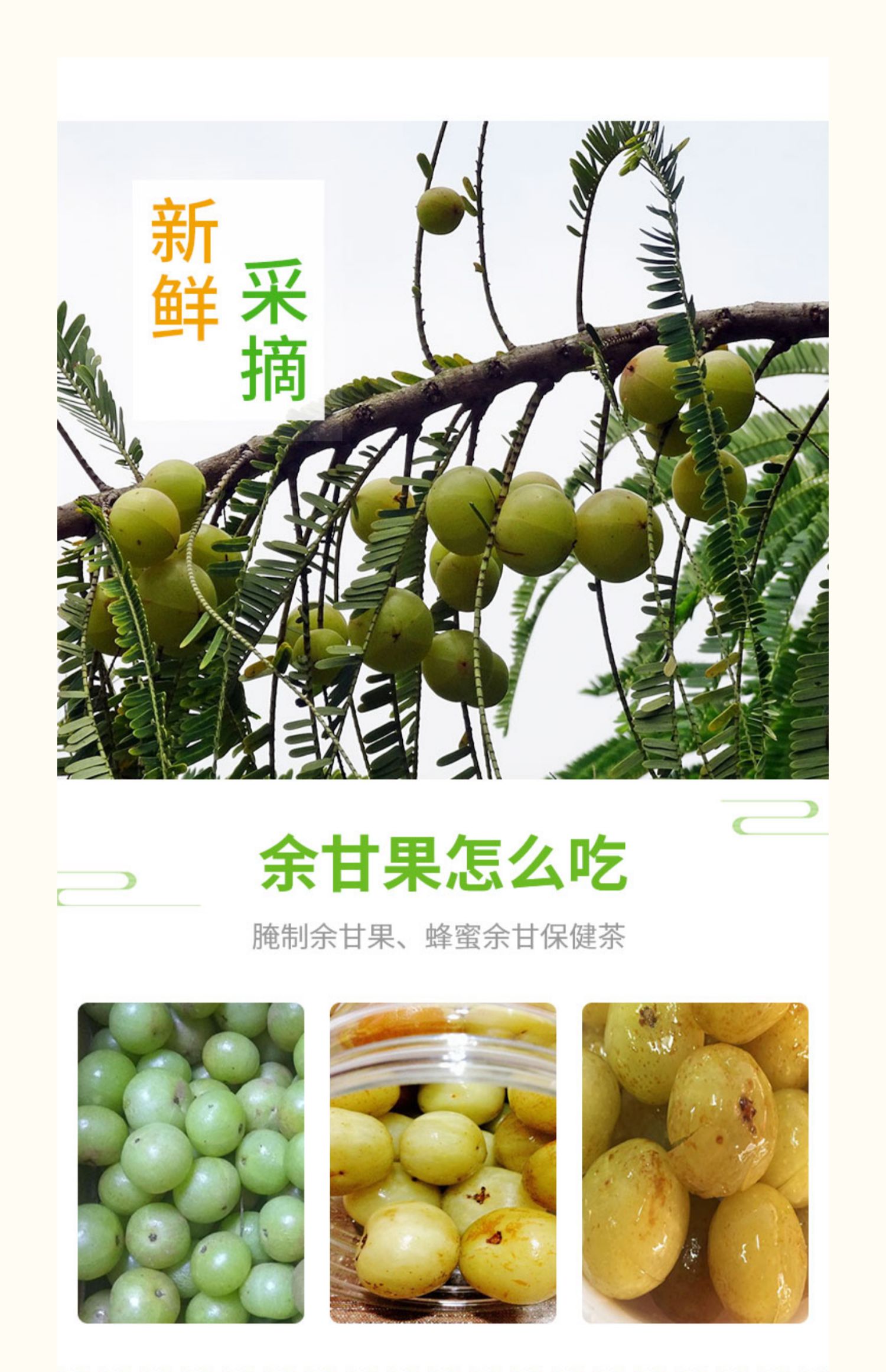 现摘5斤新鲜油甘果牛甘子余甘果油柑油干果滇橄榄孕