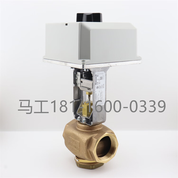 5f23aaa1e5ed997a.jpg