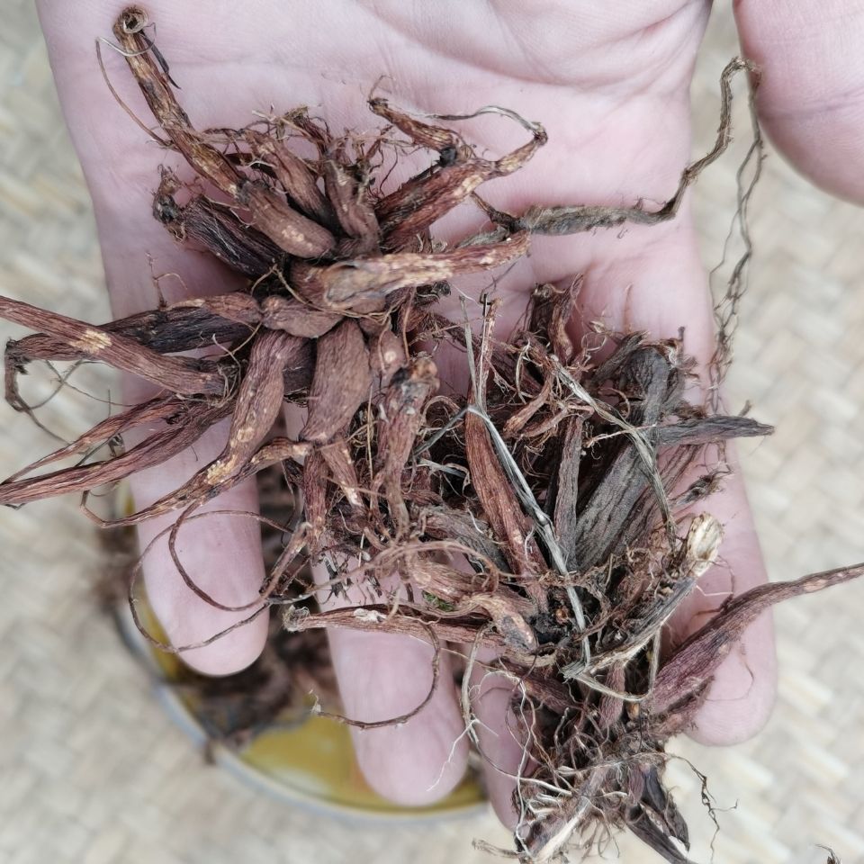 北京同仁堂原料 贵州野生中药材红活麻纯根干货500g 水洗草药红火麻红