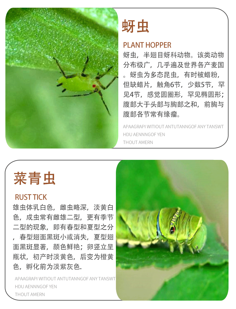 贝嘉尔8 高效氯氟氰菊酯农药蔬菜青虫果树蚜虫地下害虫花卉植物土壤农药杀虫剂500毫升 参数详情评论 聚折扣