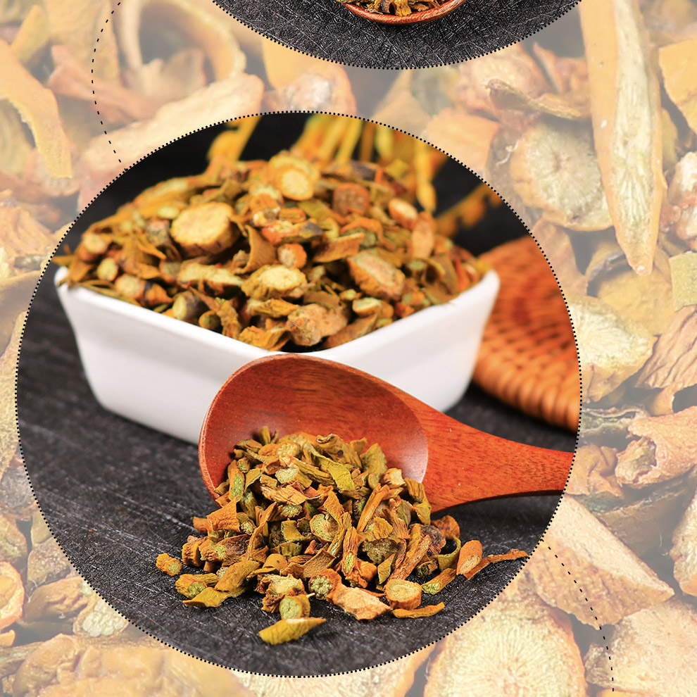 桑寄生500g新货柳寄生广西梧州特产寄生茶中材寄生干