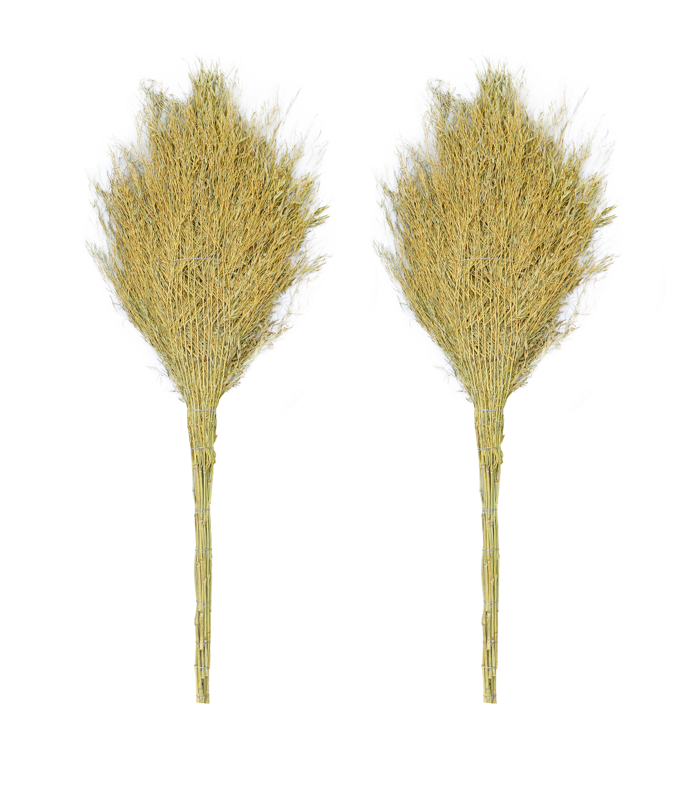 环卫大扫把5斤两把装户外加大加宽扫院子扫帚竹笤帚竹扫把