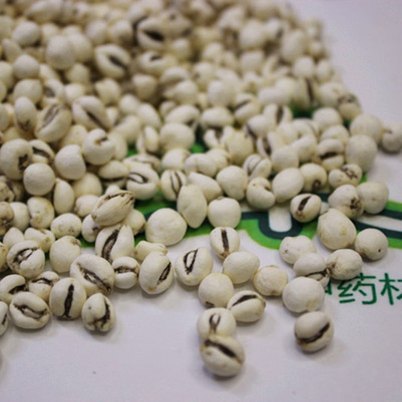 川贝中药材新货无硫四川直销川贝粉250g克川贝母野外播种顺丰速运