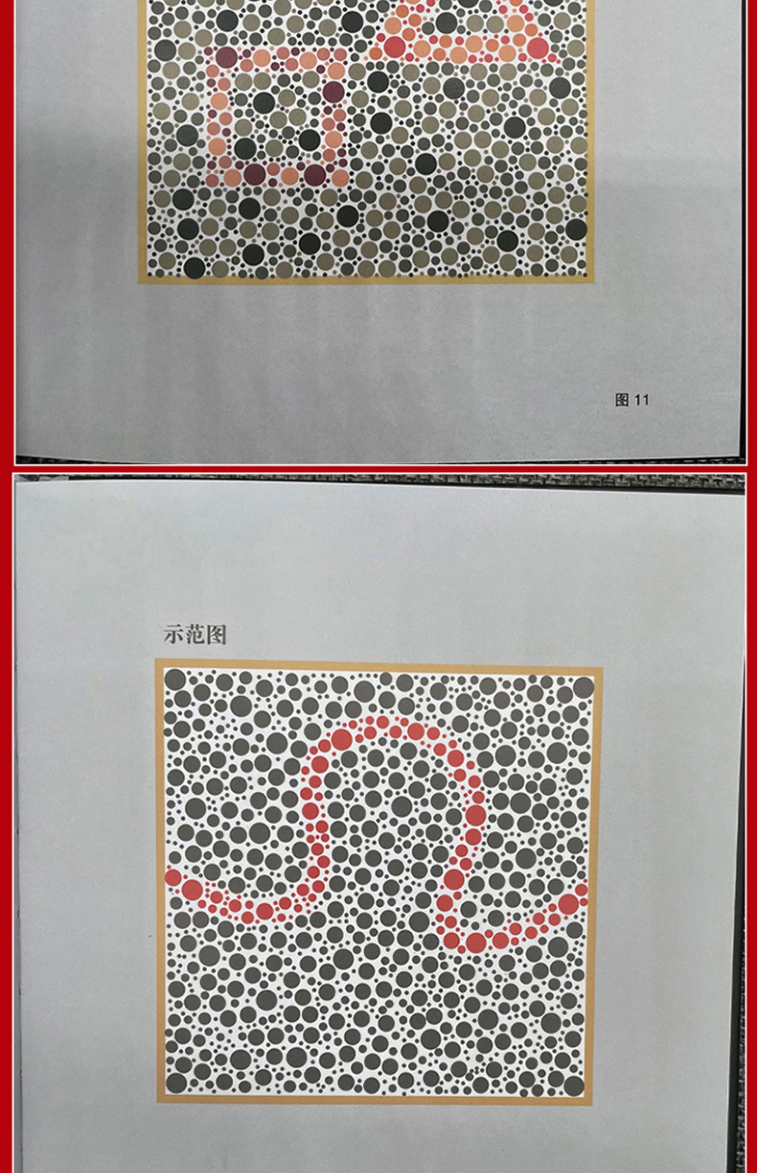 全5冊色覺檢查圖色盲測試圖色盲檢查圖第5版駕照體檢色盲色弱測試檢查