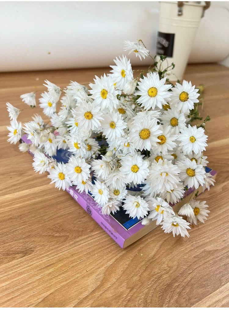 天然真花鲁丹鸟风干罗丹斯干花束家居装饰客厅ins北欧风野餐拍摄sn