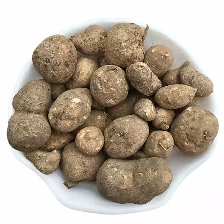三叶青浙江三叶青金线吊葫芦三叶青粉干货三叶青草药片代切三叶青100