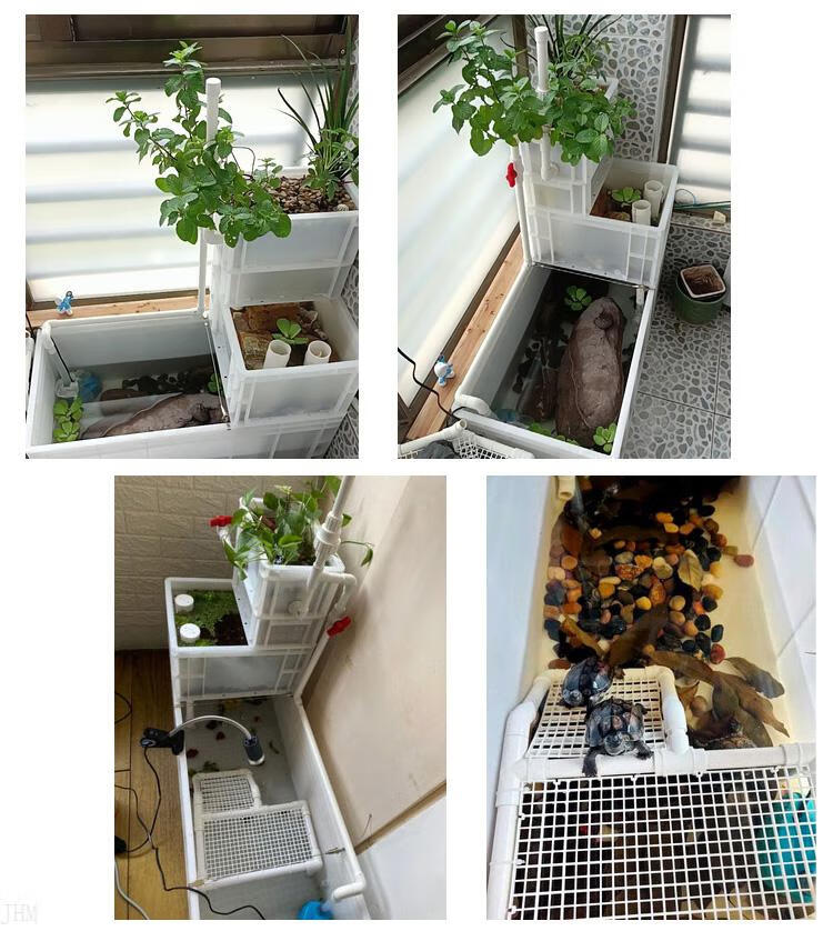 天颛阳台鱼菜共生鱼菜共生沼泽生态阳台大型周转箱循环过滤家用全套