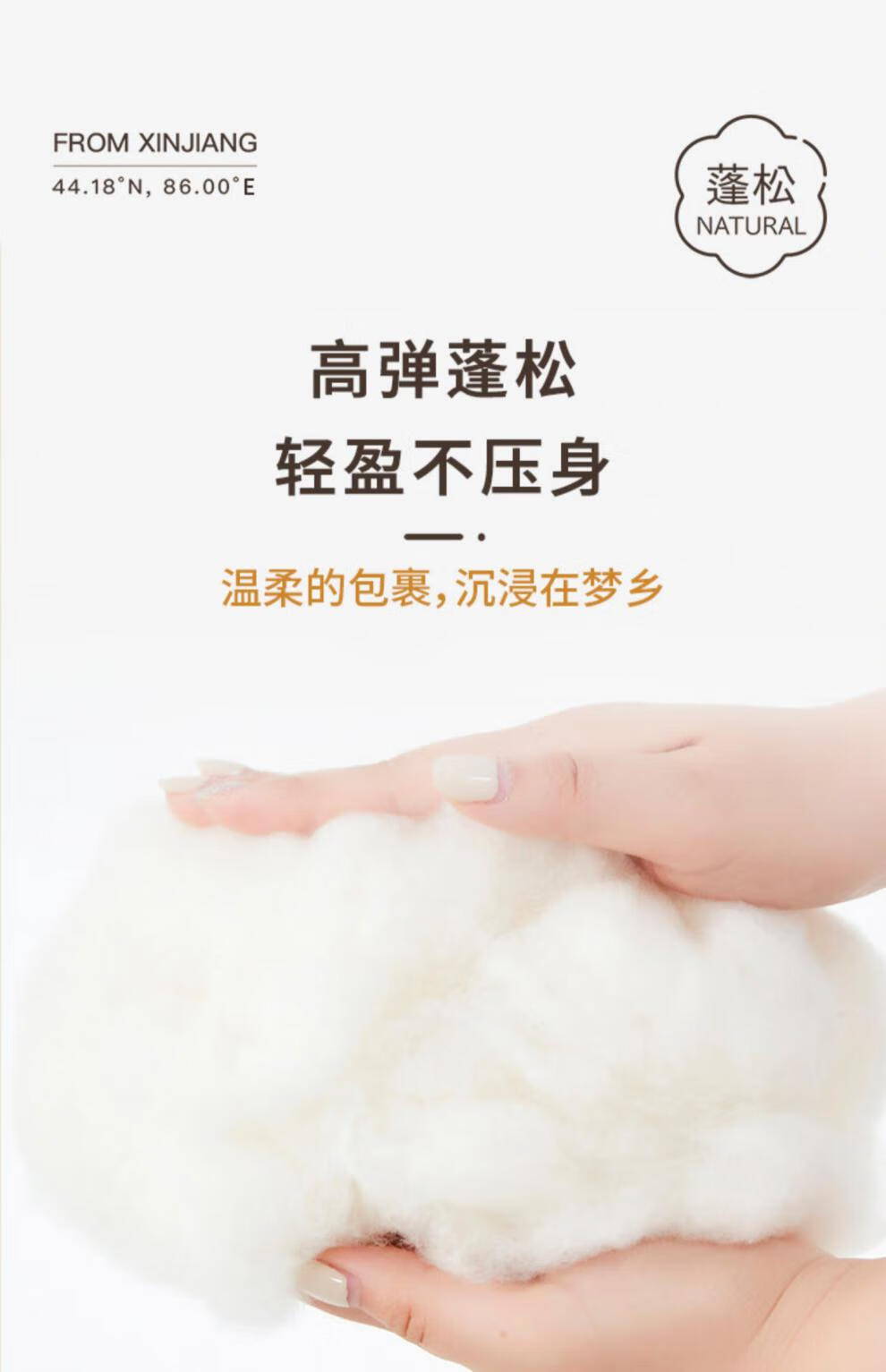 a884025b9ff4a95c.jpg
