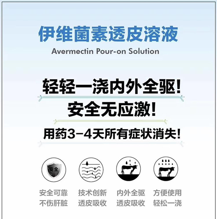 兽用伊维菌素溶液透皮剂驱虫净驱虫药海达宁疥螨皮肤病猪牛羊250ml1瓶