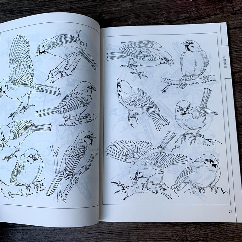 百雀画谱 中国画线描工笔画白描底稿麻雀图集临摹范本雀鸟画法书 百雀