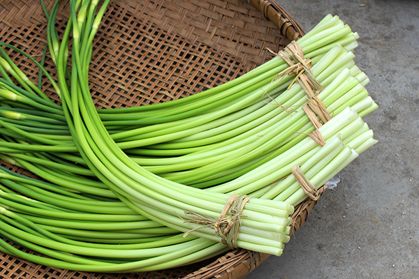 湖北农家自种现采现卖新鲜蒜苗蒜薹蒜苔3斤有机绿色时令蔬菜 团建送礼