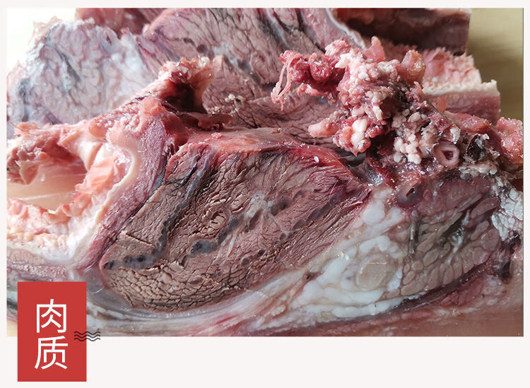牛頭肉黃牛熟牛頭肉整個牛頭分割新鮮牛臉肉飯店專用愛維溫妮牛頭肉4