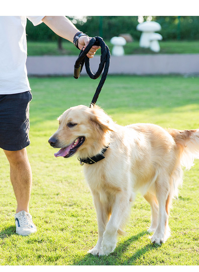 狗狗狗狗牵引绳遛狗狗链子p链防挣脱防爆冲遛狗绳狗链子项圈中型大型