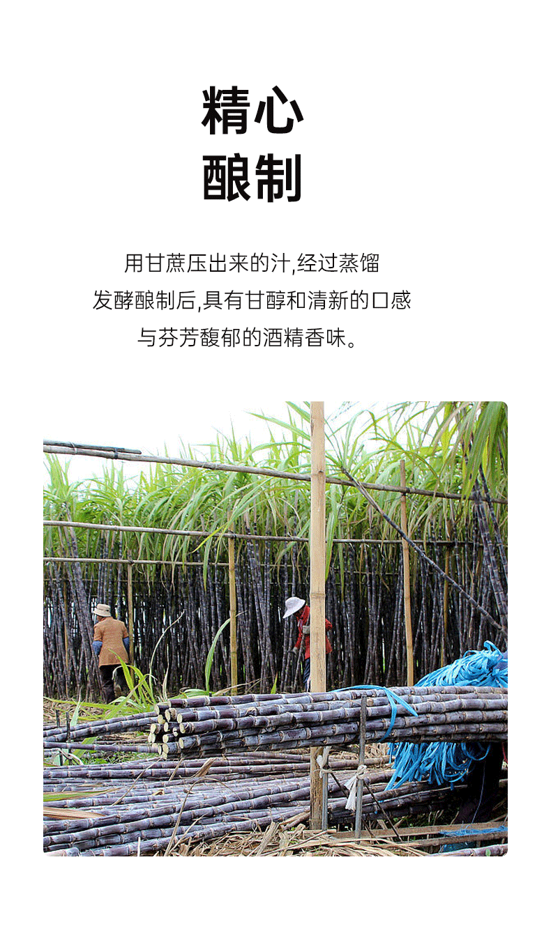 3cefe8564fca28f8.png