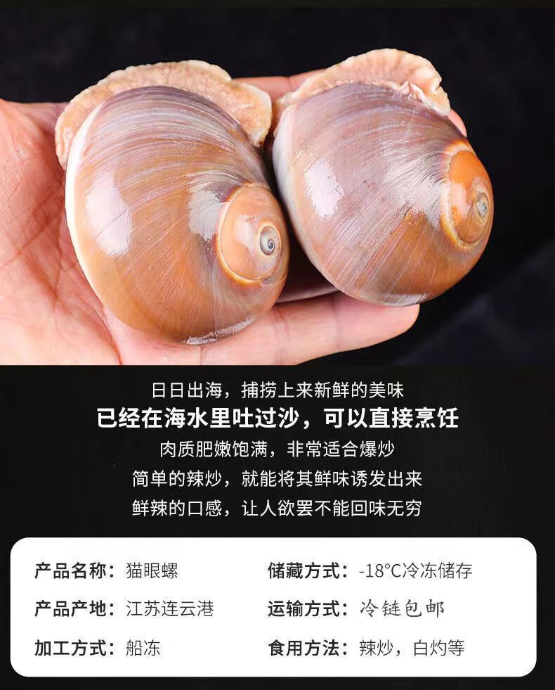 貓眼螺鮮活香螺沙螺肚臍螺海鮮水產貝類扁玉螺海螺海鮮2斤裝芥末醬包