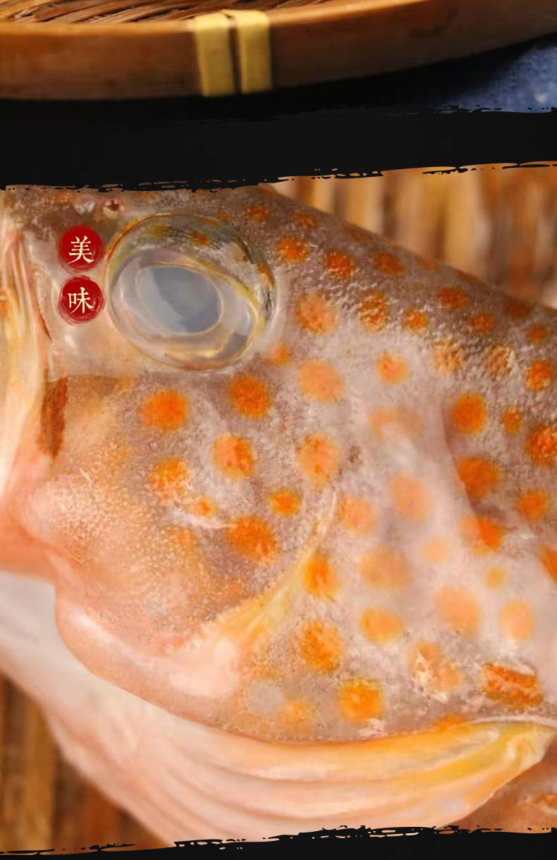 尚淘 红斑鱼500g(2-3条)新鲜深海石斑鱼 红斑点鱼