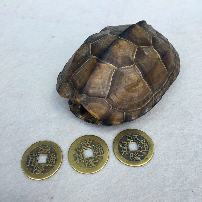 腾圣 算卦工具天然乌龟壳乾隆通宝铜钱六爻工具卦钱干
