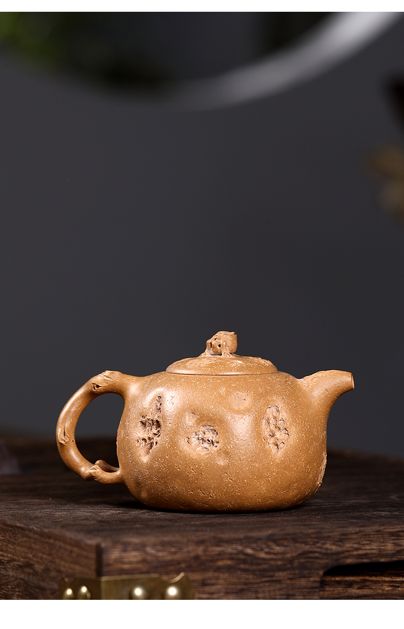 段泥供春金蟾精品家用创意功夫茶具礼品宜兴紫砂壶陈真精品供春金蟾