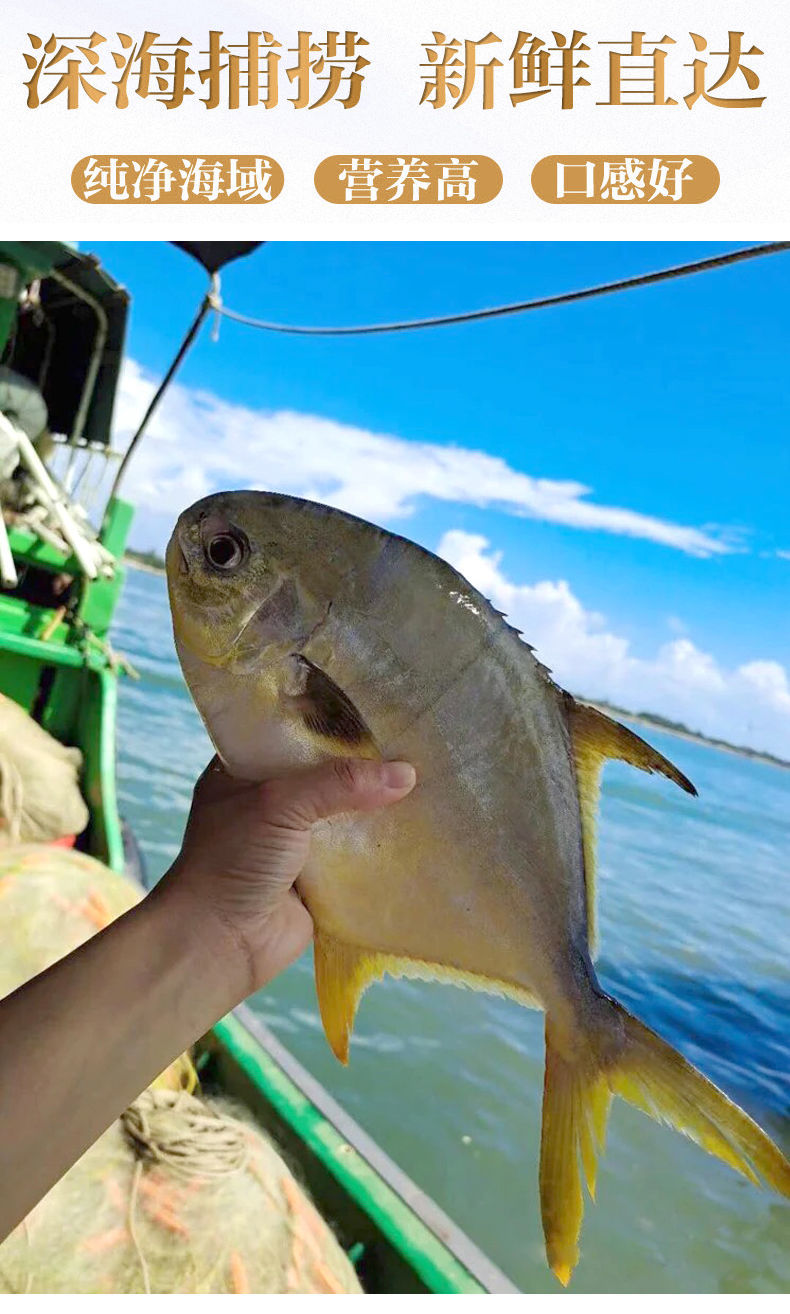 广东特产天然淡晒深海金鲳鱼鱼干海鲜干货批发海产品干货腌金仓鱼金