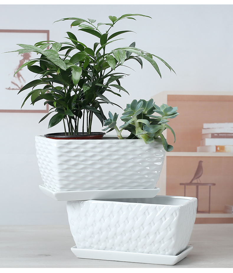 长形瓷花盆长方形花盆陶瓷多肉套装组合大号创意蝴蝶兰阳台家用浩驰长