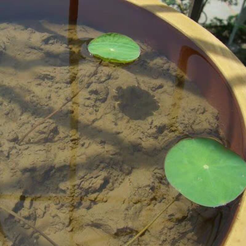 澜墨塘泥干荷塘泥土荷花盆栽养花种菜基质碗莲睡莲种植营养土20斤荷花