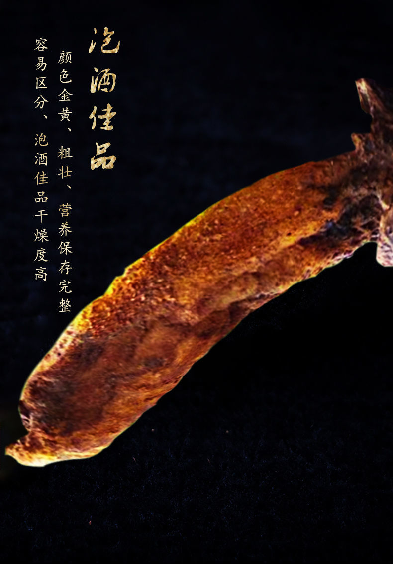 北京同仁堂原料中药材干品云南野生锁阳 顶天柱 续阳草 龙阳草100克